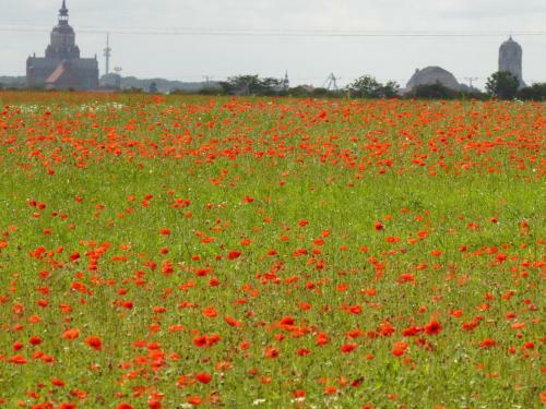 Apartamento Landluftfewo-r�gen