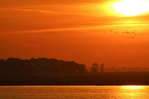 Hostal Hotel-pension Seeadler