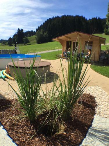 Apartamento Ferienhof Prinz