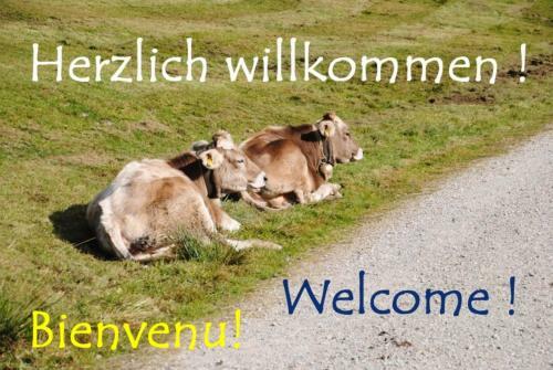 Apartamento Appartement Bergfrieden