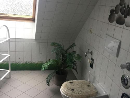Apartamento Sch�ne Balkonwohnung Im Ostseebad 213