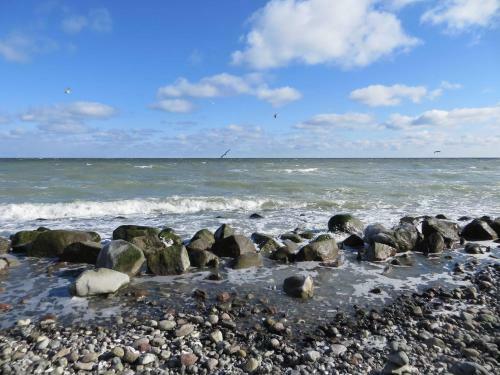 Apartamento Pension Waldrose