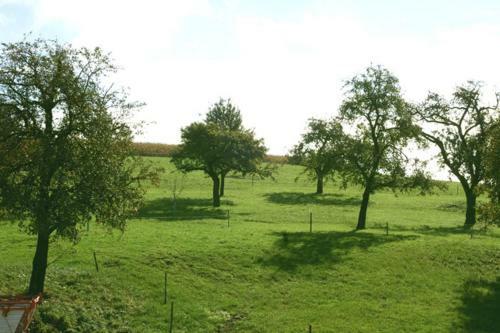 Agroturismo Ferienhof Sauter