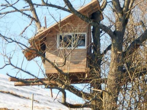 Apartamento Ferienwohnungen S�gehof