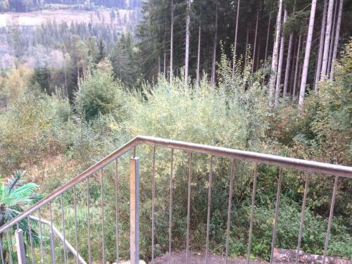 Apartamento Titisee Haus Vogelnest