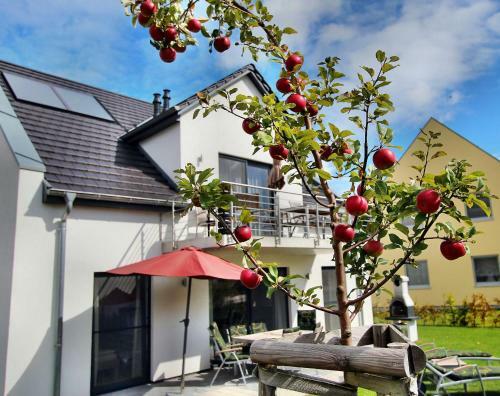 Villa Huegel _ Eg_fewo