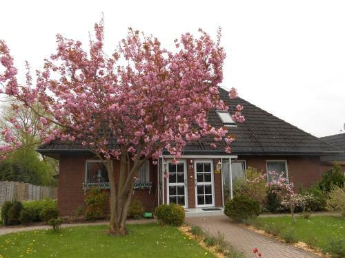 Apartamento Sunhaus Koch