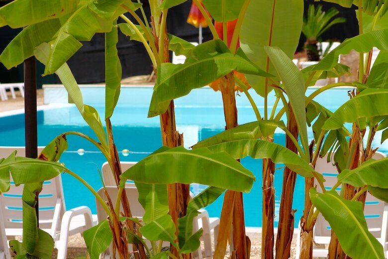 Hotel Villaggio Turistico Defensola