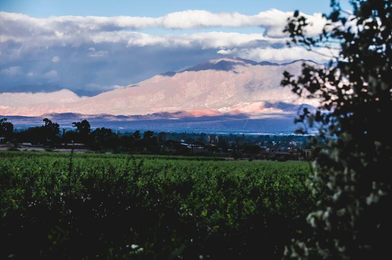 Hotel Vi�as De Cafayate Wine Resort