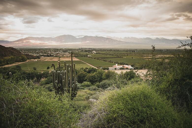 Hotel Vi�as De Cafayate Wine Resort