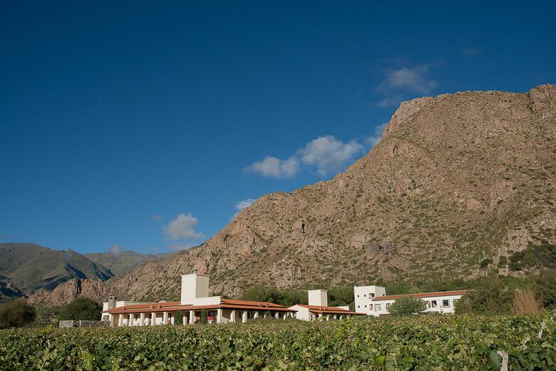Hotel Vi�as De Cafayate Wine Resort