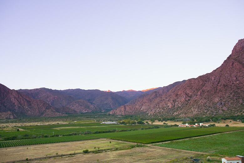 Hotel Vi�as De Cafayate Wine Resort