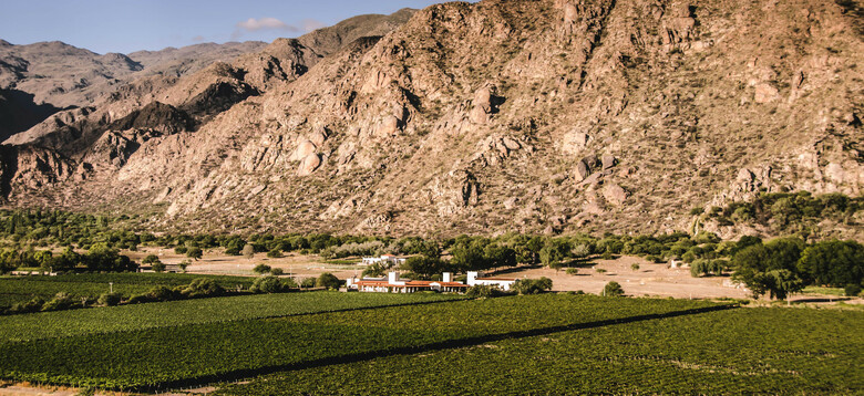 Hotel Vi�as De Cafayate Wine Resort