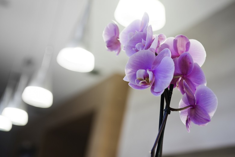 Elba Almer�a Business & Convention Hotel