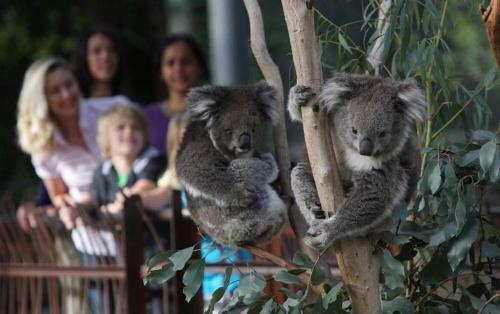 Espresso Apartments - Class, Style & Location In Carlton