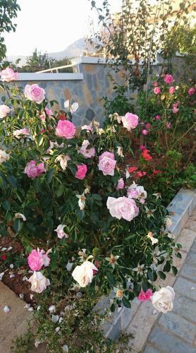 Hotel Dhori House Dhermi
