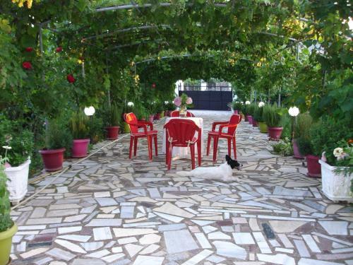 Apartamento Flower House Cato