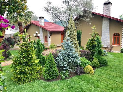 Hotel Palmanova Resort