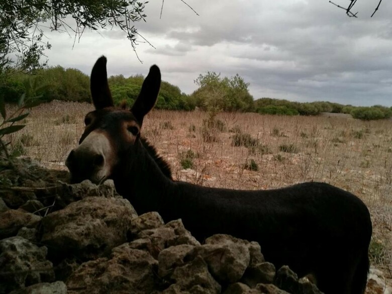 Agroturismo Matxani Gran