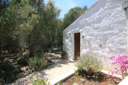 Agroturismo Matxani Gran