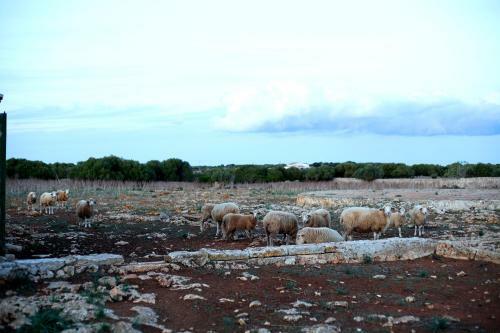 Agroturismo Matxani Gran