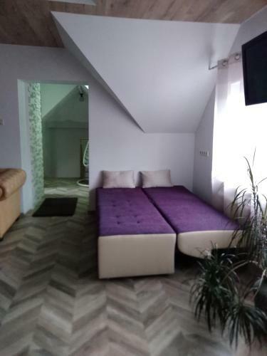 Hostal Gostevoy Dom "zvezdochka"