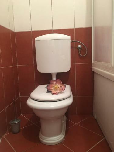 Daki Apartment