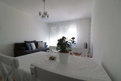 Apartamento Sweet Home