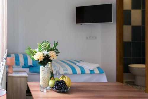 Hostal Guesthouse Vila Puzic