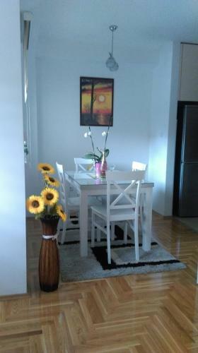 Apartman Tea Banja Luka Stan Na Dan