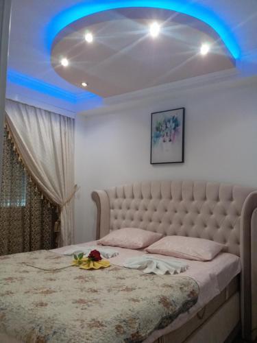 Apartman Tea 2