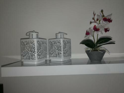 Studio Apartman Aras