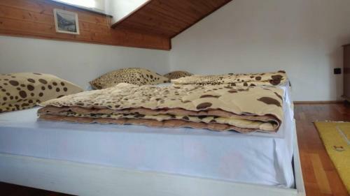 Albergue Kamena ?uprija