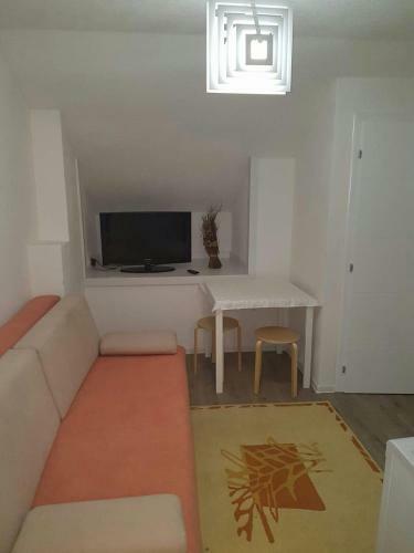 Apartamento Ljudina