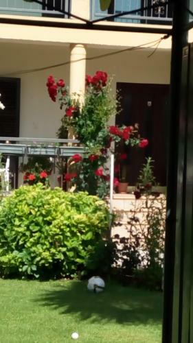 Hostal Rooms Rafomarija