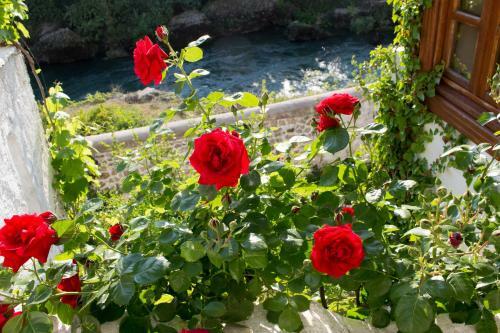 Hostal Lovely Bosnian Home
