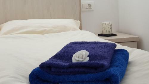 Apartamento Galeria Nura