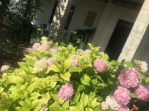 Albergue Guesthouse Red