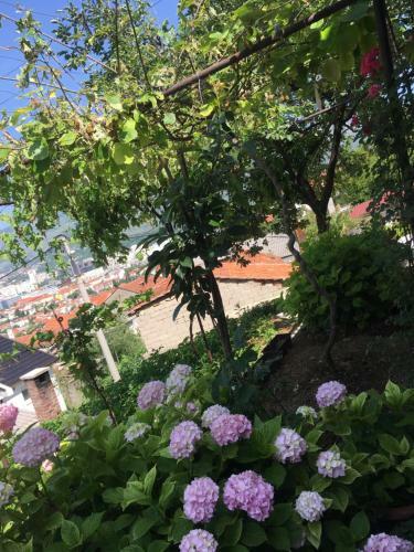Albergue Guesthouse Red