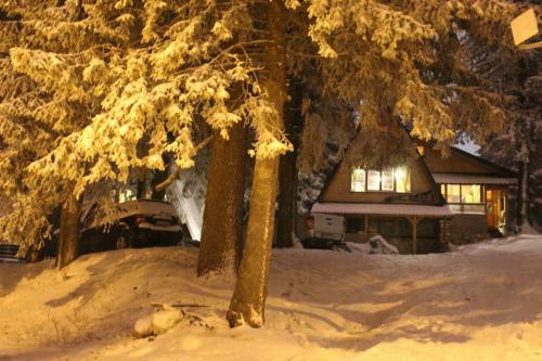 Snow Angel Jahorina