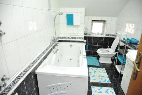 Apartment Radojkovic