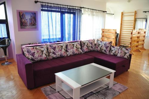 Apartment Radojkovic