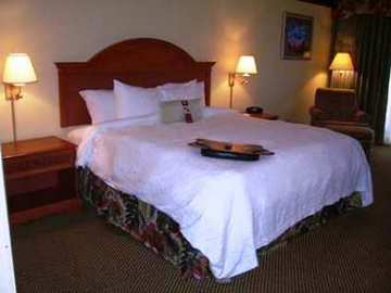Hotel Hampton Inn Daytona Shores-oceanfront