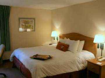 Hotel Hampton Inn Knoxville-airport