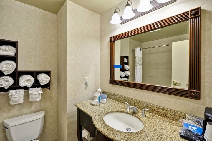 Hotel Hampton Inn&suites North Charleston-university