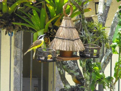Hotel Pousada Cascata Dos Amores