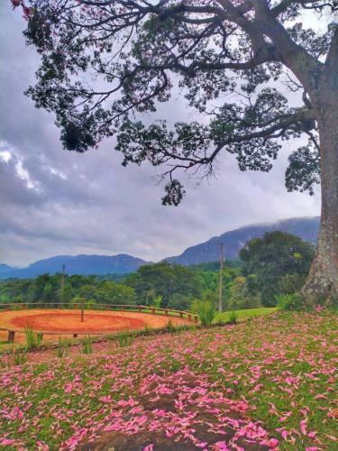 Hotel Caviuna Pouso Rural