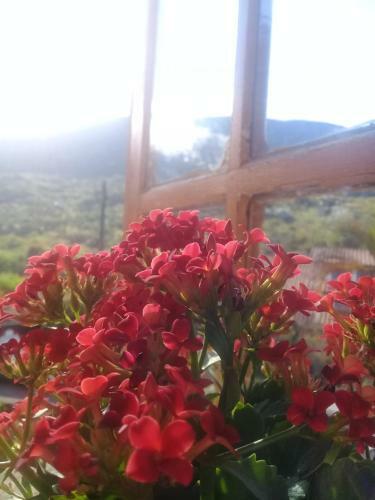 Hostal Pousada Nascer Do Sol