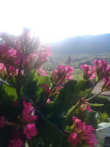 Hostal Pousada Nascer Do Sol