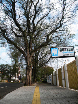Apartamentos Iguassu Guest House